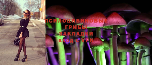 твердый Алексин