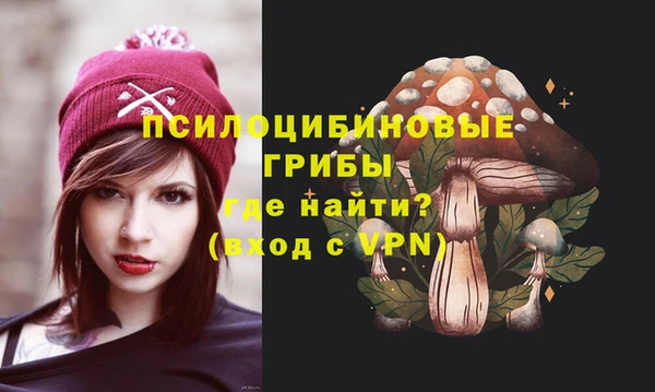 дмт Абинск