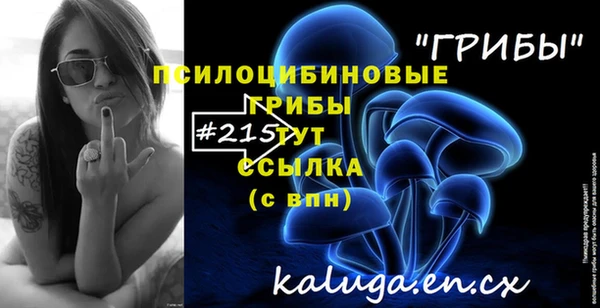 дмт Абинск