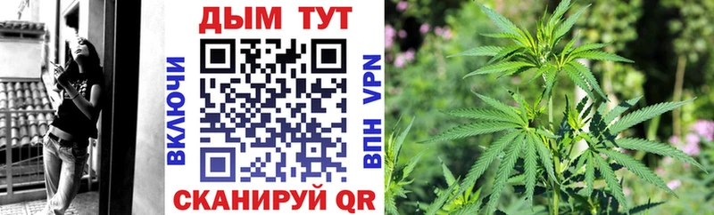 Бошки Шишки VHQ  Ермолино 